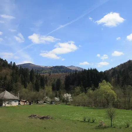 під гострою Zhdeniievo