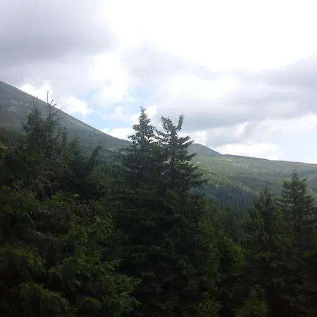 Gospodarstwo wiejskie під гострою