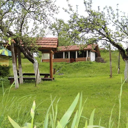 під гострою Gospodarstwo wiejskie Żdenijewo