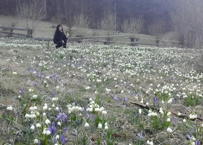 під гострою Zhdeniievo